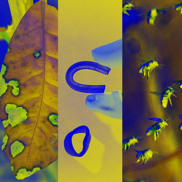 מהנשמדע 20/3 – מחקרים חדשים ביותר