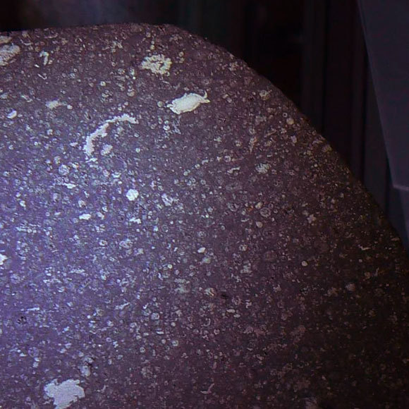 חלבון מהחלל החיצון