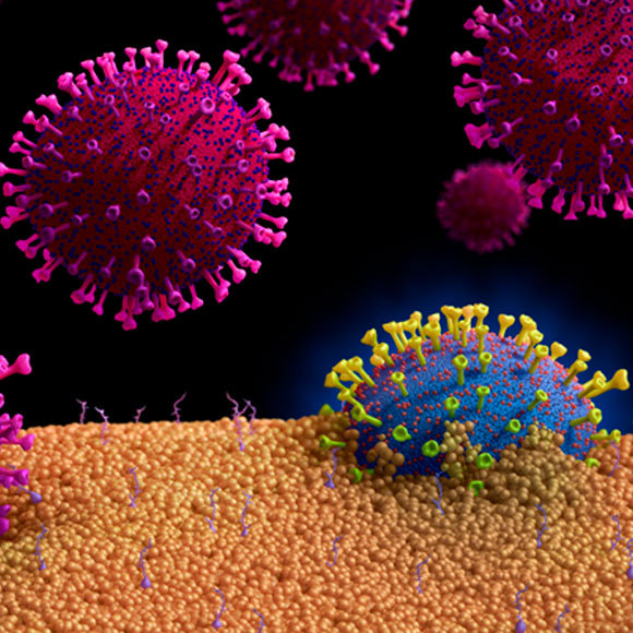 הנגיפים שמחליפים זהויות