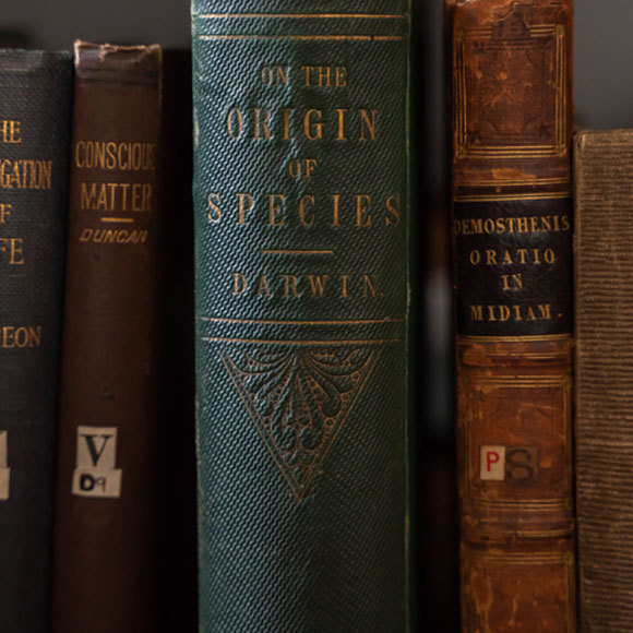 היונקים שמקיימים את התחזית של דרווין