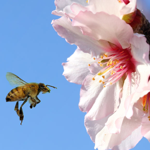 שטיפת מוח ג’וניור 1#