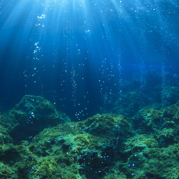 לאן נעלם החמצן שבמים?