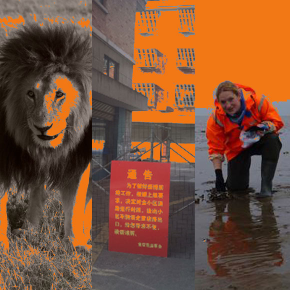 מהנשמדע 3/4 – מחקרים חדשים ביותר