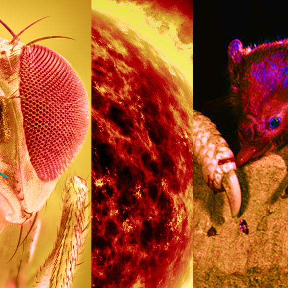 מהנשמדע 24/4 – מחקרים חדשים ביותר