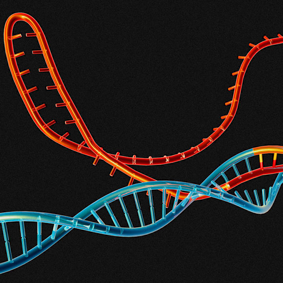 La ciencia de la última década
