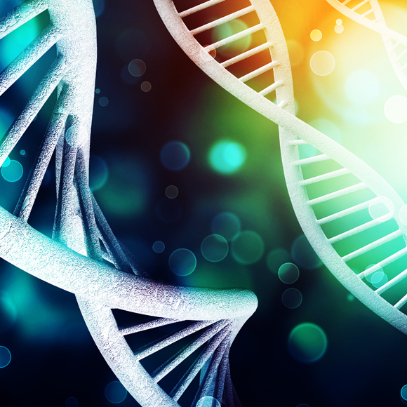 מולקולת החיים: חידון ה-DNA