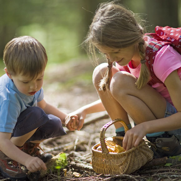 סוד הישיבה של הציידים הלקטים