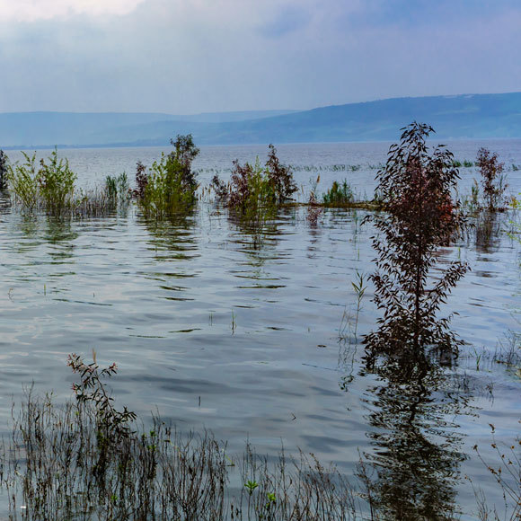 השנה הטובה של משק המים