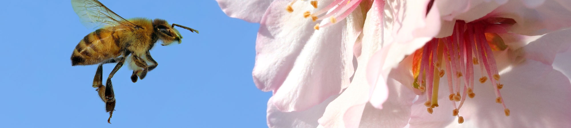 Desafía a tu cerebro N.º 1