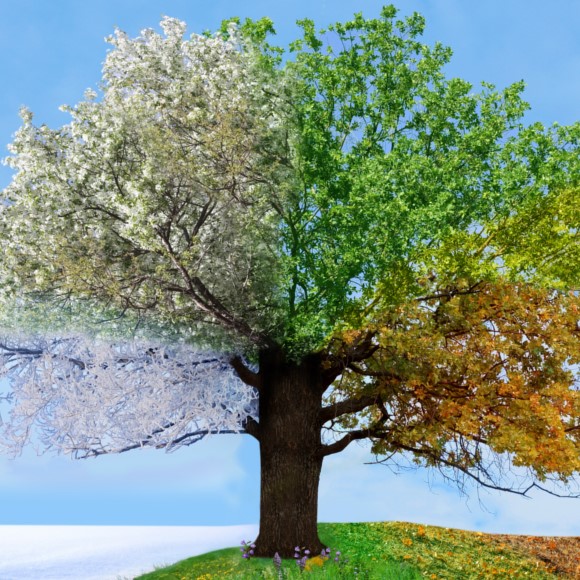 Desafía a tu cerebro N.º 4