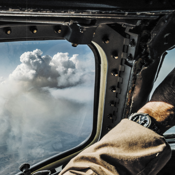 המחיר הסמוי של שריפות היער