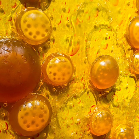 נגיפי קורונה בהרכבה עצמית