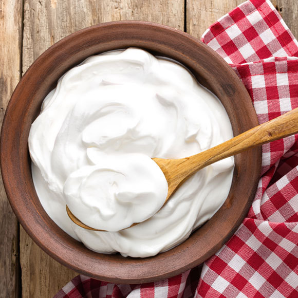 בזכות החיידקים: הכנת היוגורט המושלם