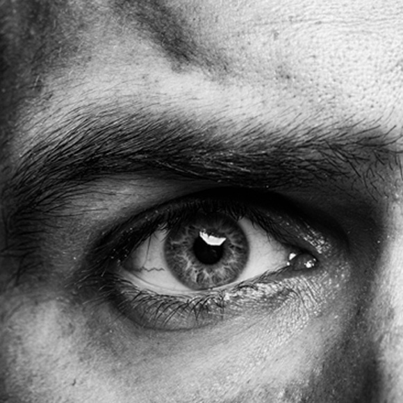 ما هي وظيفة الحاجبين؟