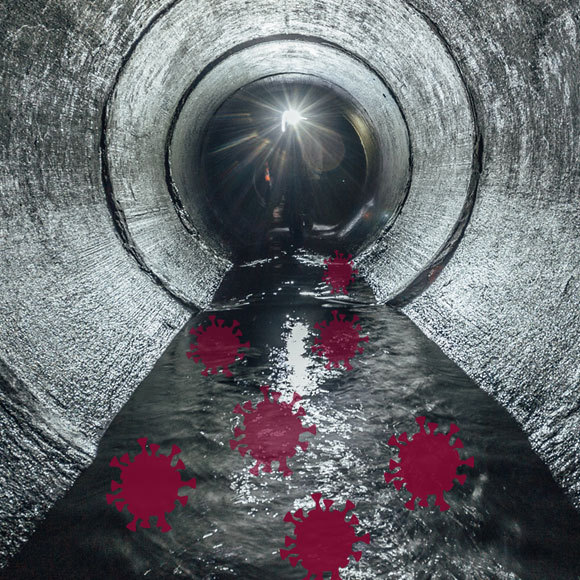 לחפש את הקורונה בביוב