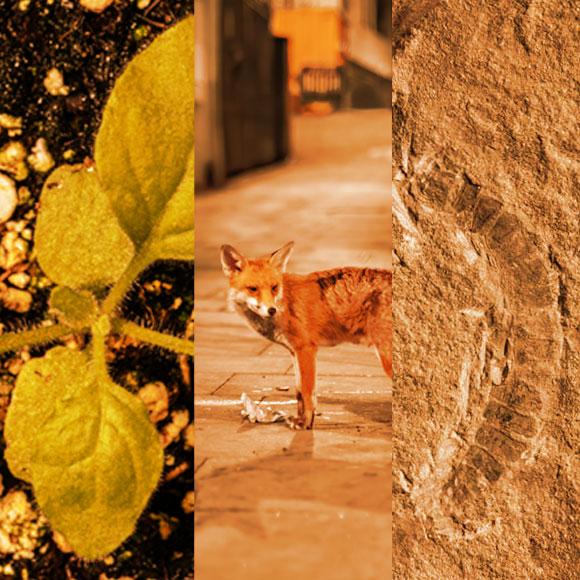 מהנשמדע 12/6 – מחקרים חדשים ביותר