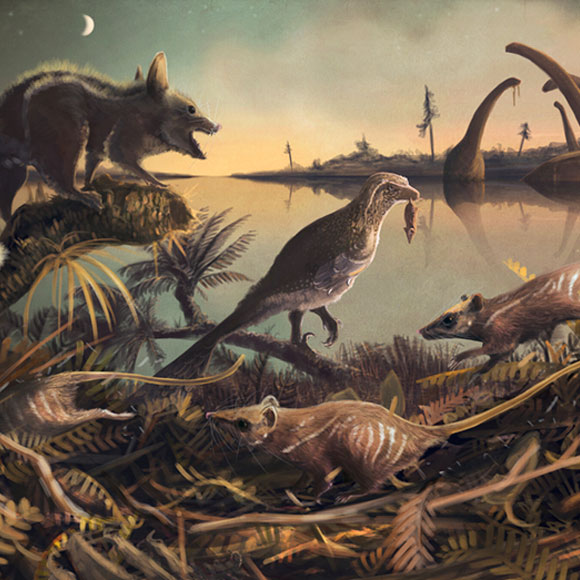 כך השתלטו היונקים על העולם