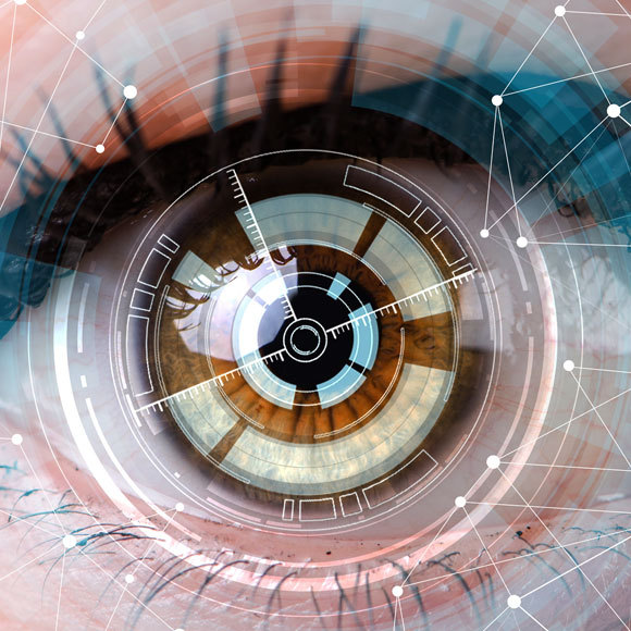 להשתיל עין ביונית משודרגת