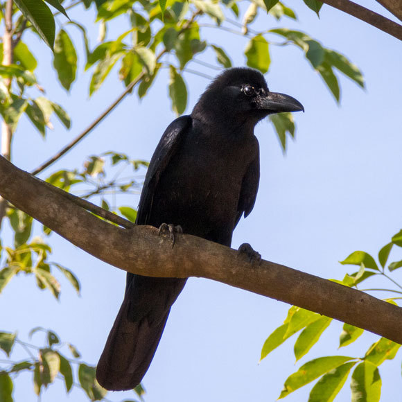 קח לך לאט את הזמן