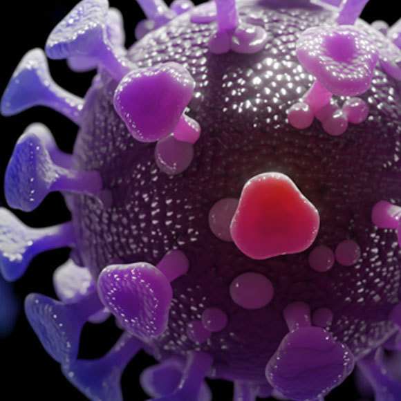 האם נגיף הקורונה משתנה?