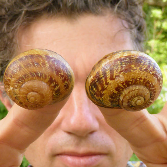 החלזונות שהסתובבו שמאלה