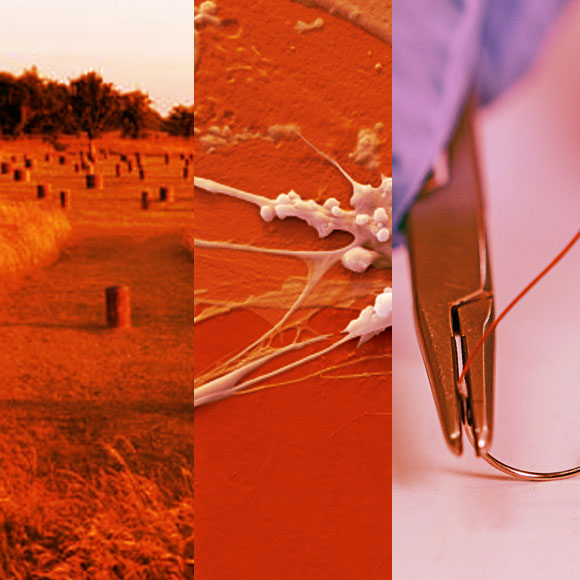 מהנשמדע 04/07 – מחקרים חדשים ביותר