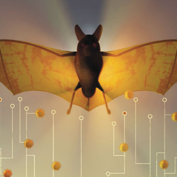 המרדף אחרי המגפות