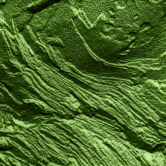 לעשות פוטוסינתזה מחוץ לצמח