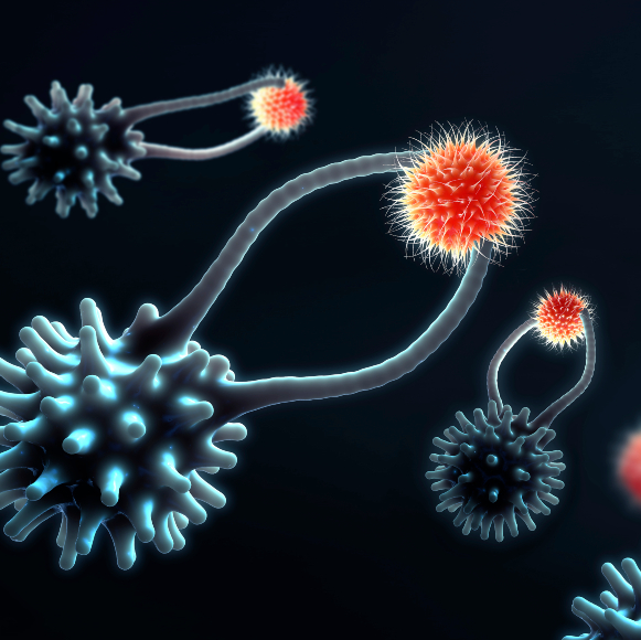 צו גיוס באולטרסאונד