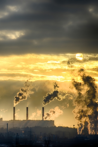 הפן הכלכלי של שינוי האקלים