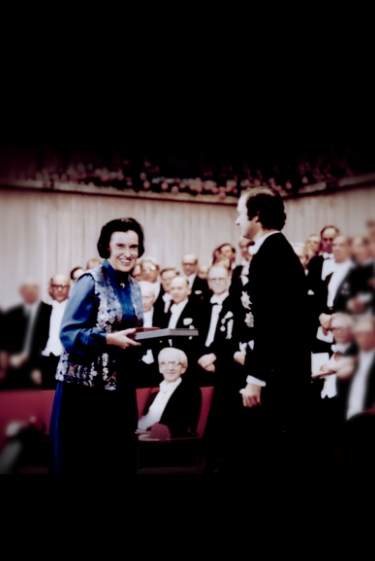 הפיזיקאית שחוללה מהפכה ברפואה