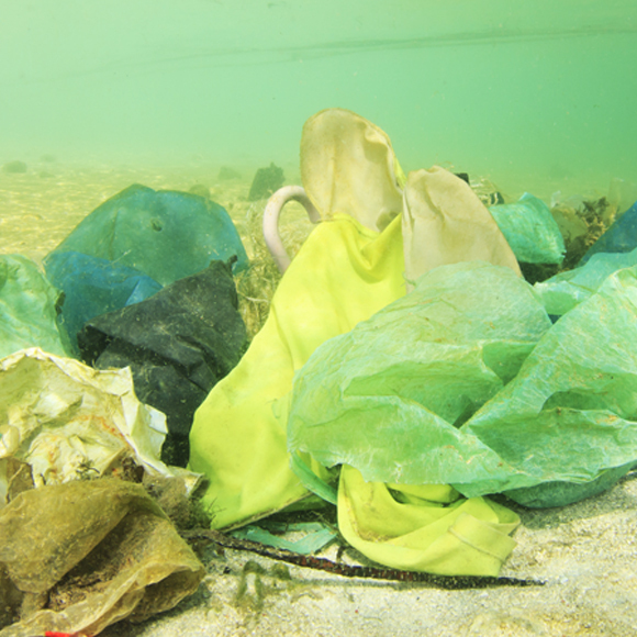 האקולוגיה של הפלסטיק בקרקעית הים