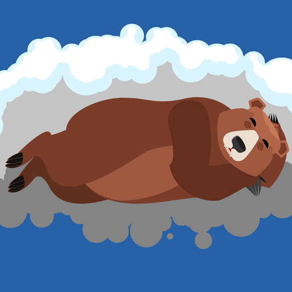 מה אתם יודעים על שנת חורף?