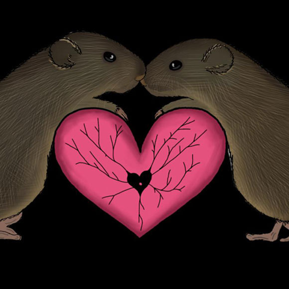 אהבה: זה הכל בראש