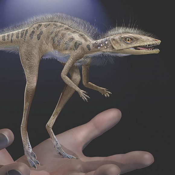 האב המיניאטורי של הענקים הפרהיסטוריים