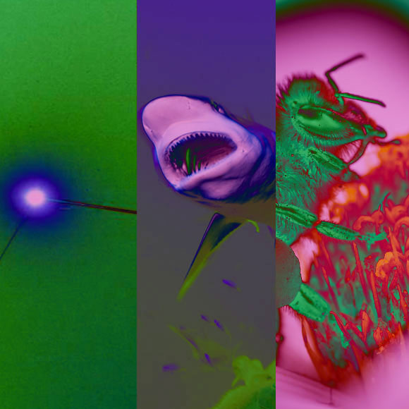 מהנשמדע 21/8 – מחקרים חדשים ביותר