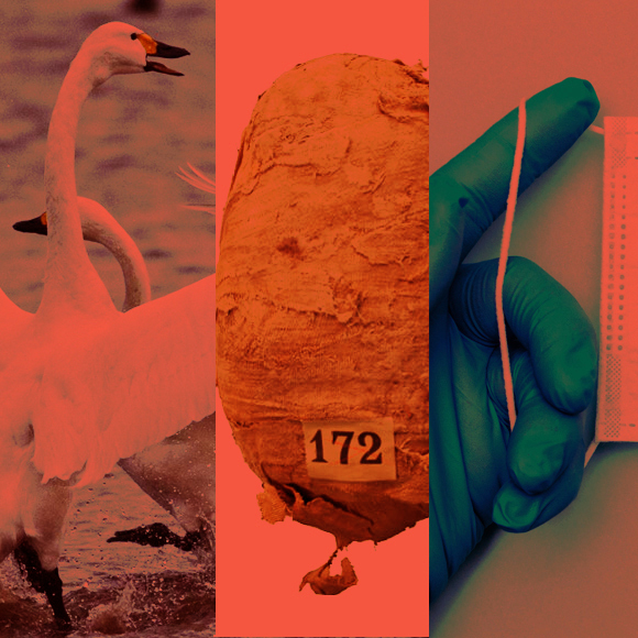 מהנשמדע 28/8 – מחקרים חדשים ביותר