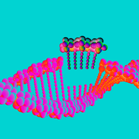 הסכנות החדשות של עריכה גנטית בעוברים