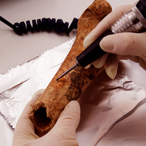 הדור הבא של תארוך פחמן 14