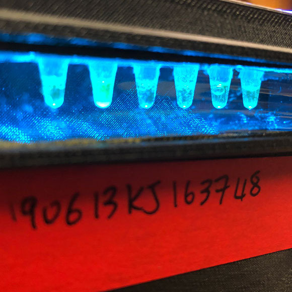 בדיקה פשוטה ומהירה תגלה זיהומים במים