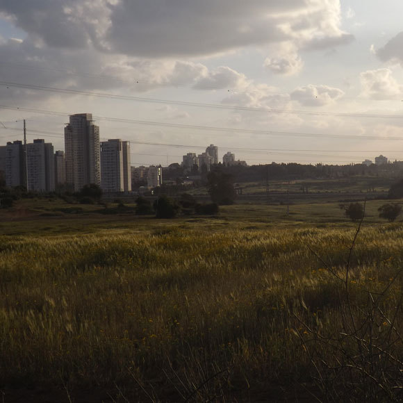 מסדרונות של חיים