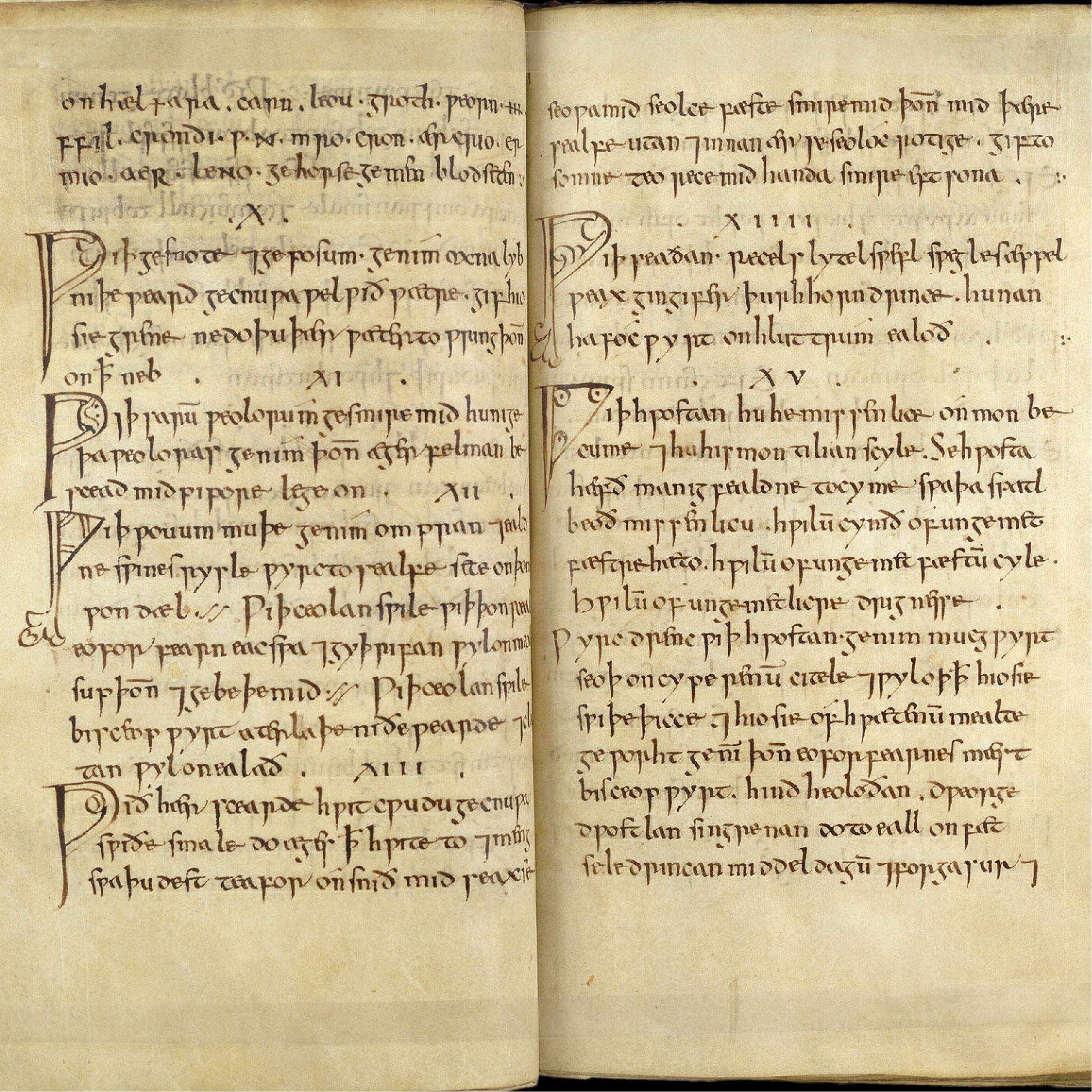 ענתיביוטיקה: אנטיביוטיקה חדשה מימי הביניים