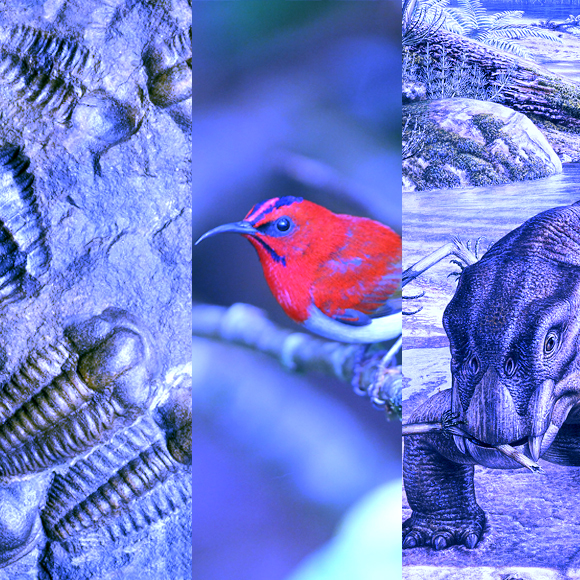 מהנשמדע 4/9 – מחקרים חדשים ביותר