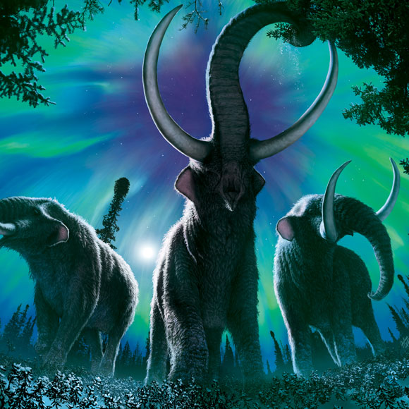 נדידת הפילים הקדומים