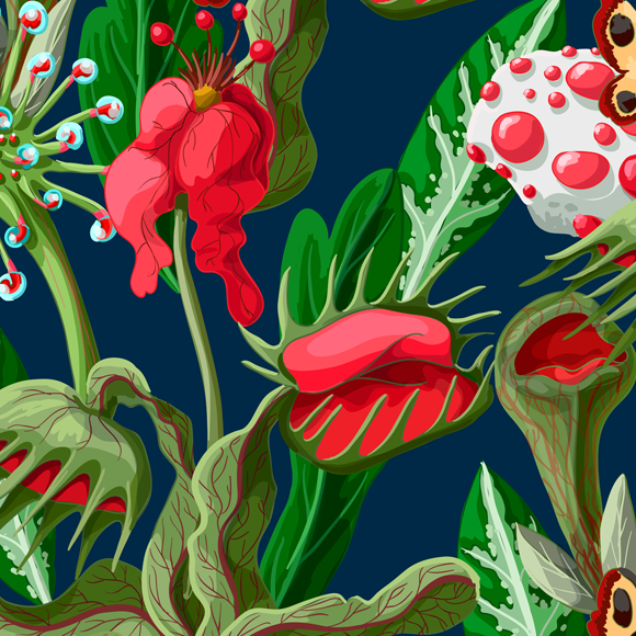 מה אתם יודעים על צמחים טורפים?