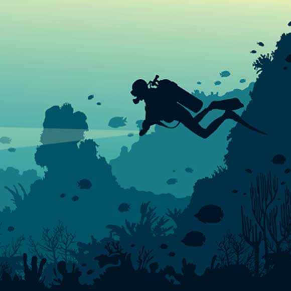 מה אתם יודעים על צוללים בגנים?