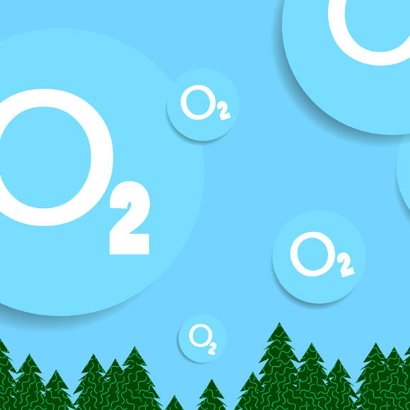 אוויר לנשימה: מהיכן מגיע החמצן?