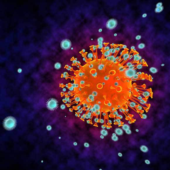 האם יש חיסוניות צולבת בקורונה?