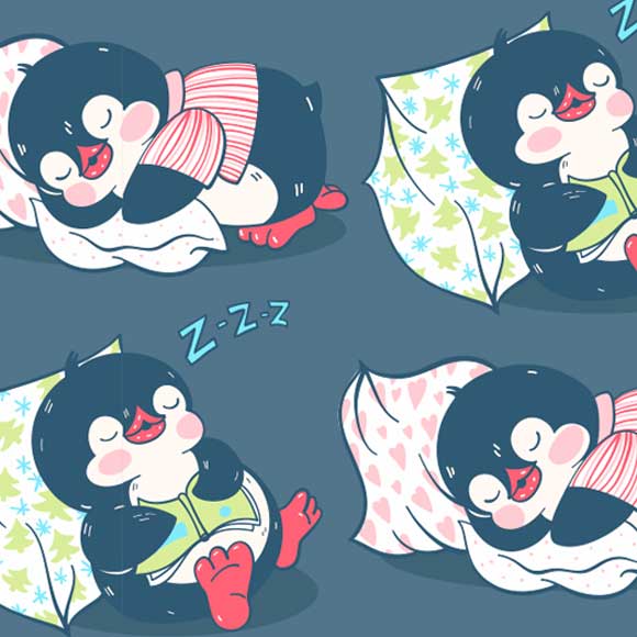 מה אתם יודעים על שנת הציפורים?