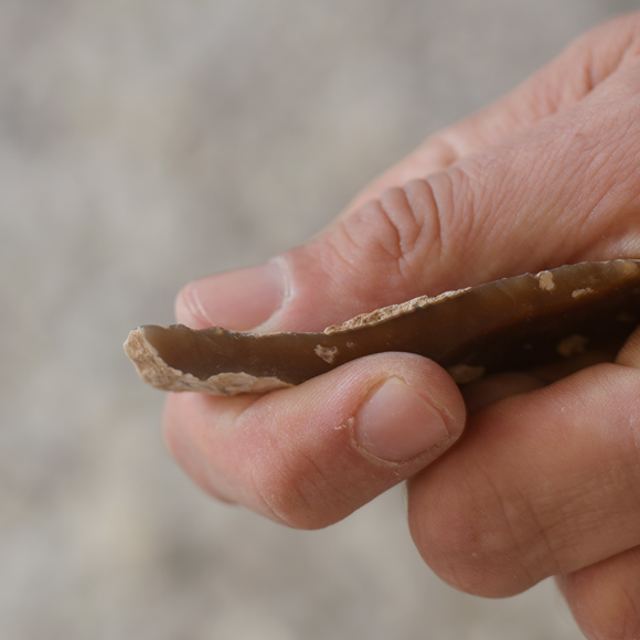 טכנולוגיית האש של האדם הקדמון